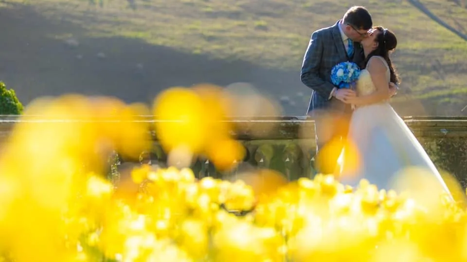 Couple kissing in golden evening light behind bright yellow flowers