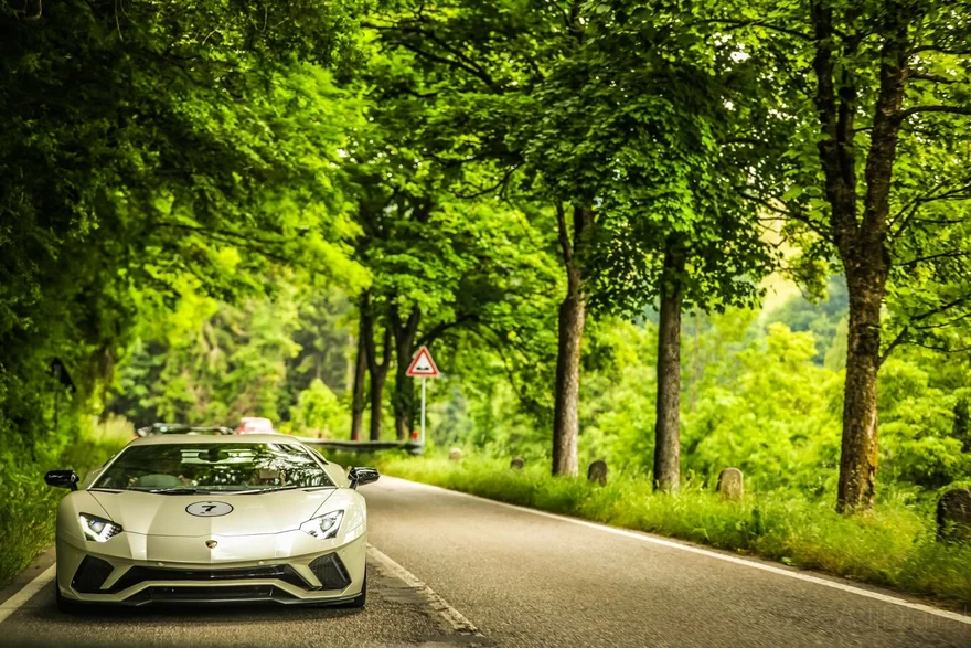 Light-coloured sports car travelling along a green tree-lined road